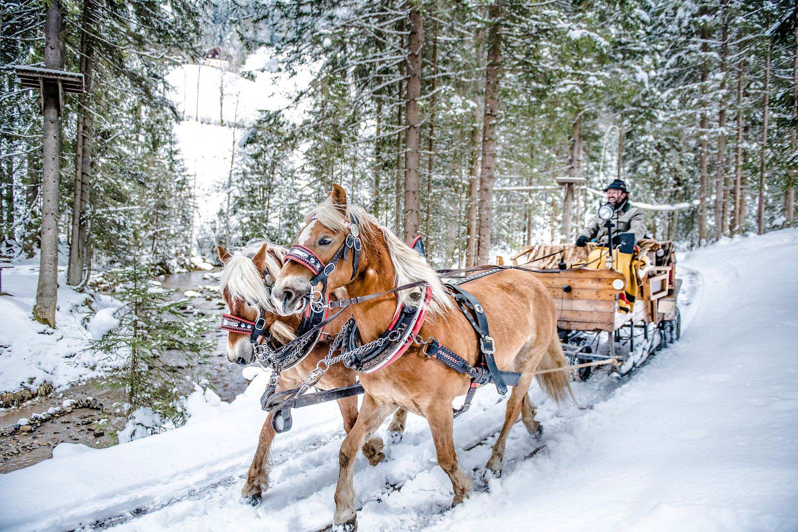 Pferdeschlittenfahrt im Winterurlaub von Altenmarkt nach Zauchensee